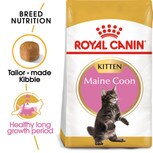 ROYAL CANIN® Maine Coon Kitten 10kg